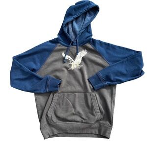 American Eagle Outfitters Men’s Grey & Blue Hoodie